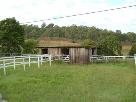 Jacaranda Motor Lodge - Accommodation Gold Coast 1