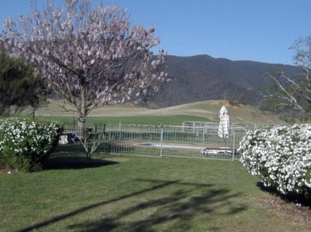 Araluen Old Courthouse - Accommodation Gold Coast 0