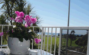 Beach Park Motor Inn - Accommodation Gold Coast 3