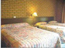 Bega Village Motor Inn - Accommodation Gold Coast 3