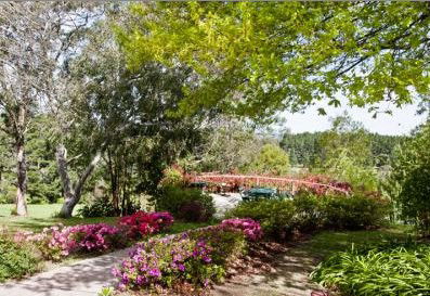 Bilpin Resort - Accommodation Gold Coast 2