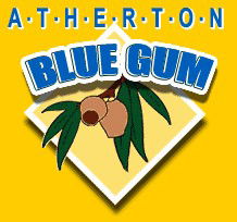 Atherton Blue Gum - Accommodation Gold Coast 1