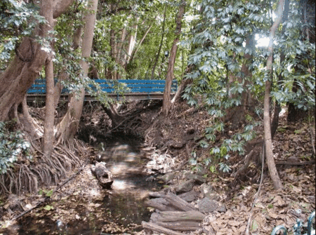 Rainforest Grove Holiday Resort - Accommodation Gold Coast 3