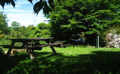 The Cecil Guest House - Accommodation Gold Coast 5