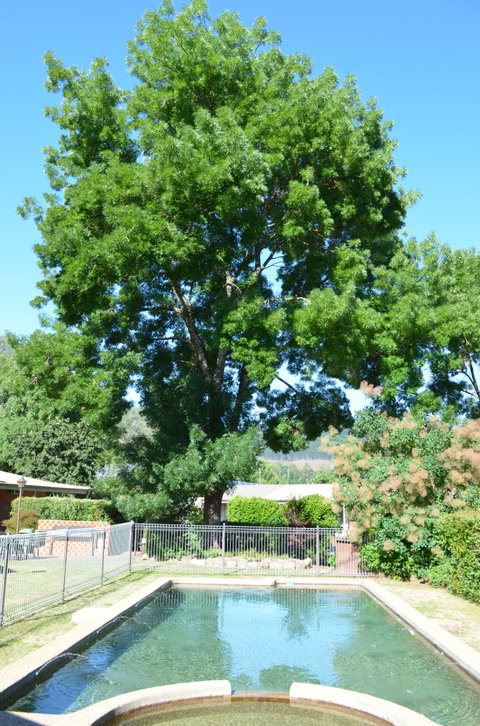 Bright Colonial Inn Motel - Accommodation Gold Coast 4