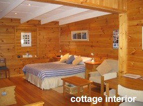 Anglesea Rivergums - Accommodation Gold Coast 0