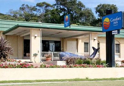 Comfort Inn Albany - Accommodation Gold Coast 0