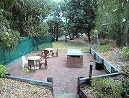 Collie Forest Motel - Accommodation Gold Coast 4