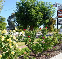 Narrogin Motel - Accommodation Gold Coast