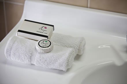 Cumberland Motor Inn - Accommodation Gold Coast 7