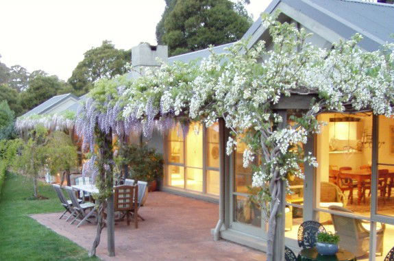 Mount Tomah NSW Accommodation Gold Coast