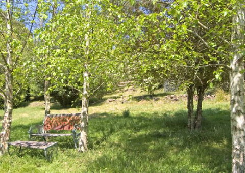 Tomah Mountain Lodge - Accommodation Gold Coast 2