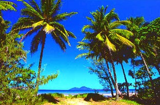 Mission Beach Rainforest Motel - Accommodation Gold Coast 1