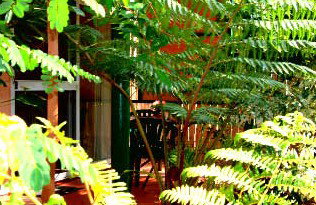Mission Beach Rainforest Motel - Accommodation Gold Coast 3