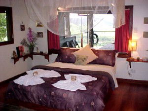 Daintree Cloud 9 - Accommodation Gold Coast 0