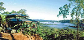Daintree Cloud 9 - Accommodation Gold Coast 1