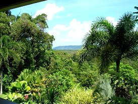 Daintree Manor - Accommodation Gold Coast 3
