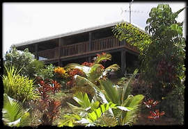 Daintree Manor - Accommodation Gold Coast 5