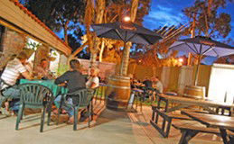 Toddy's Backpackers Resort - Accommodation Gold Coast 4