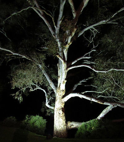 Tally Ho Lodge - Accommodation Gold Coast 3