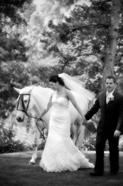 Tally Ho Lodge - Accommodation Gold Coast 6