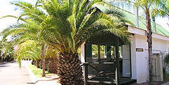 Desert Palms Resort - Accommodation Gold Coast 2