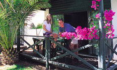 Desert Palms Resort - Accommodation Gold Coast 3