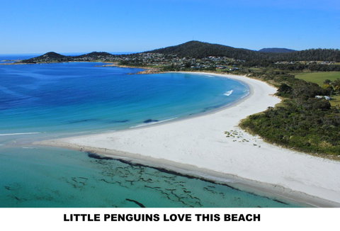 Diamond Island Resort - Accommodation Gold Coast 5