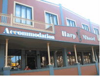 Harp Deluxe Hotel - Accommodation Gold Coast 0