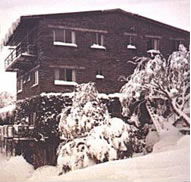 Elk at Falls - Accommodation Gold Coast