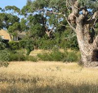 Wings Barossa Bird and Bush Retreat - Accommodation Gold Coast