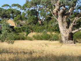 Wings Barossa Bird And Bush Retreat - Accommodation Gold Coast 0