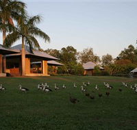Feathers Sanctuary