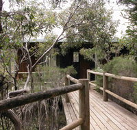 Raven Cottage - Accommodation Gold Coast
