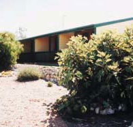 The Fig Tree Bed  Breakfast - Accommodation Gold Coast