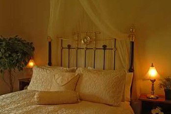 Citrus Cottage - Accommodation Gold Coast 2