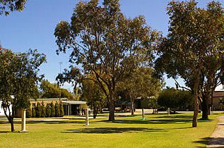 Other - Accommodation Gold Coast 1
