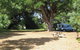 Millicent Hillview Caravan Park - thumb 1