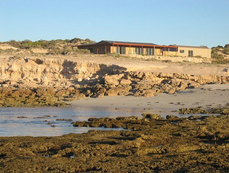 Tiliqua Sunrise - Accommodation Gold Coast 3