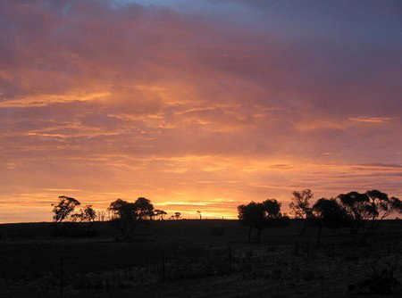 Willangi Bush Escapes - Accommodation Gold Coast 1