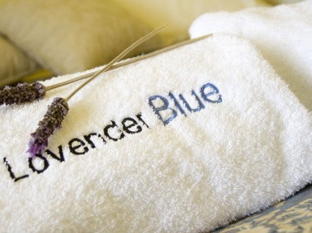 Lavender Blue Country Apartments - Accommodation Gold Coast 3