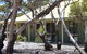 Riverbush Cottages - thumb 1