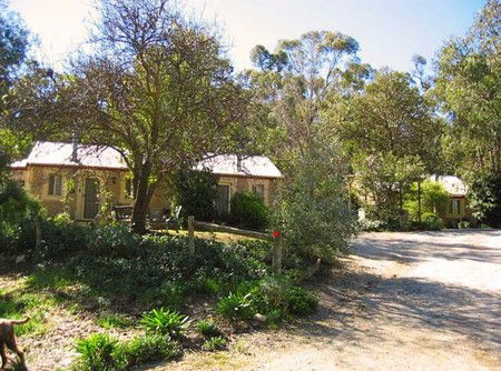 Riesling Trail Cottages - Accommodation Gold Coast 3