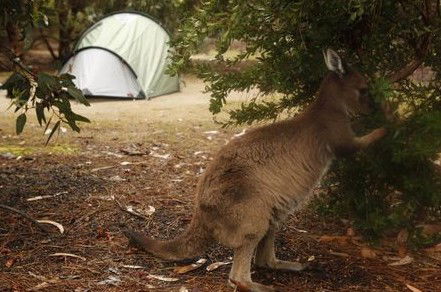 Western KI Caravan Park Cabins - Accommodation Gold Coast 2