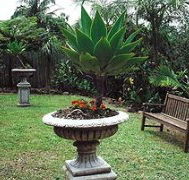 Bangalow Retreat - Gold Coast 4U