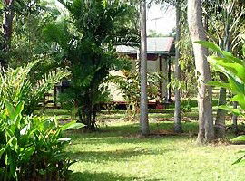 Virginia Heliconia Farm - Accommodation Gold Coast 3