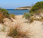 Marion Bay Caravan Park - Accommodation Gold Coast 5