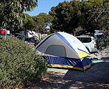 Marion Bay Caravan Park - Accommodation Gold Coast 6