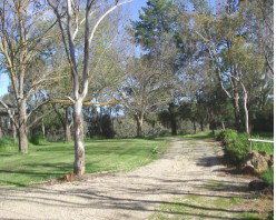 Kooringal Homestead - Accommodation Gold Coast 2