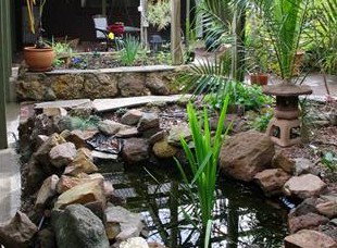 Kooringal Homestead - Accommodation Gold Coast 6